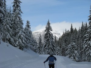 Jan skiing Mica, Rd. 