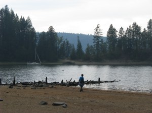 IMG_3315