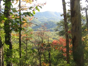 The Smoky Mountains