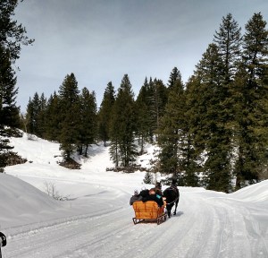 IMG_20170303_145159341_HDR